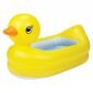 Bak Mandi Karet Duck