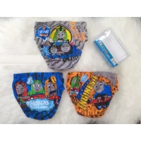Celana Dalam Ridges Thomas S M L XL
