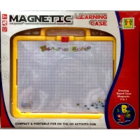 Magnetic Learning Case 17120056