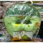 Bantal Menyusui Cintaka Animal Series WCB9102 #1