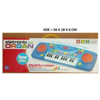 Piano Electronic Organ 19070078