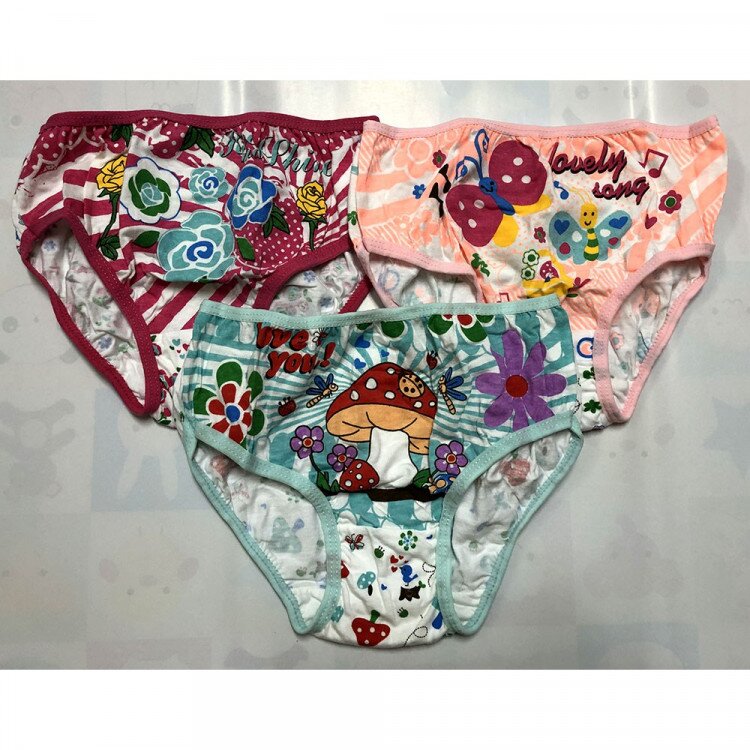 Celana Dalam Anak Ridges Bunga SMLXL