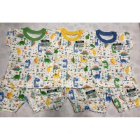Setelan Anak Kaos Ridges Dino Planet
