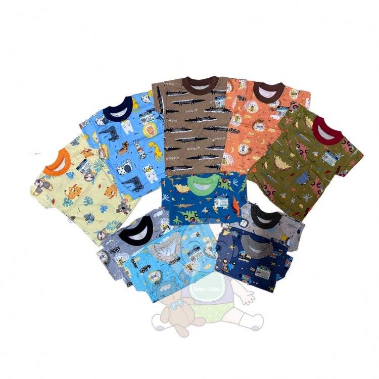 Promo Baju Atasan Kaos Anak Ridges Motif Dasar Warna