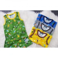 Baju Setelan Singlet Anak Ridges Dino Parasut
