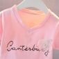 Setelan Tutu Anak Perempuan V Neck / Dress Anak Perempuan #2