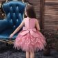 Gaun Pesta Anak / Dress Party Korea / Gaun Ulang Tahun Anak / Dress Anak Mewah Korea / Baju Anak Perempuan ala Korea #2