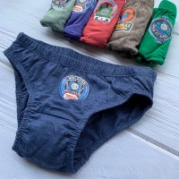 Celana Dalam Anak Laki-Laki Karakter Isi 6pcs (Spiderman, Cars, Thomas, Avengers)