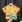 Aligator Kuning