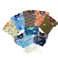 Baju Atasan Kaos Anak Ridges Motif Lucu