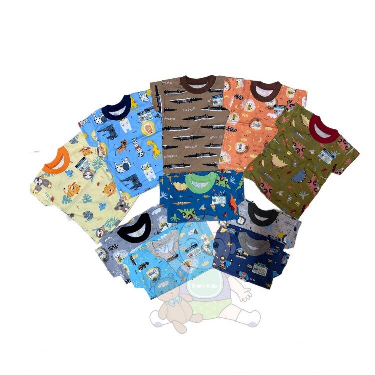 PROMO Paket 3pcs Baju Atasan Anak Kaos Ridges Motif Lucu SNI